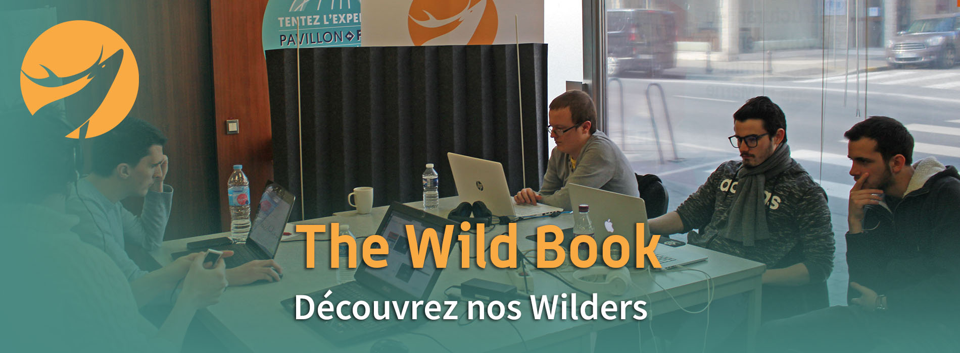Wild code school