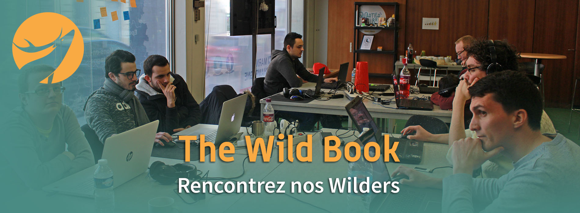 Wild code school
